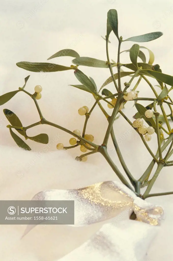 Art snow, mistletoe twig, bow,  silvery  Mistletoe, Christmas, Christmas time, pre-Christmas period, mistletoe, Christmas decoration, decoration, trad...