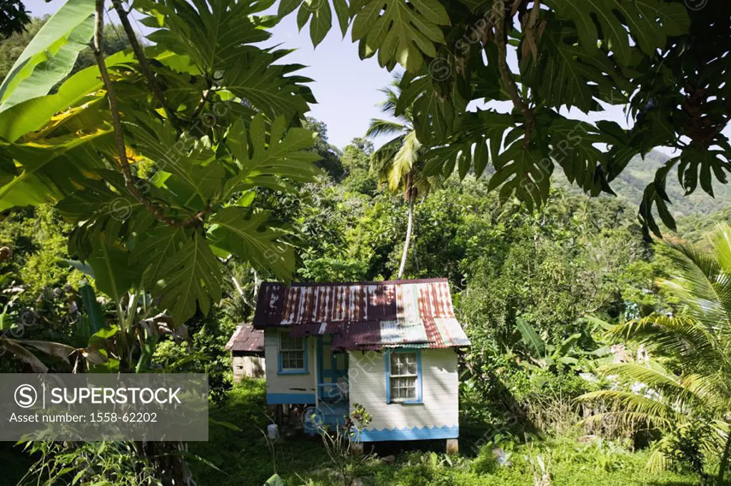 Grenada, Vendome, Regenwald, Wood cottage  Caribbean, West Indian islands, little one Antilles, islands over the wind, island, nature, forest, vegetat...