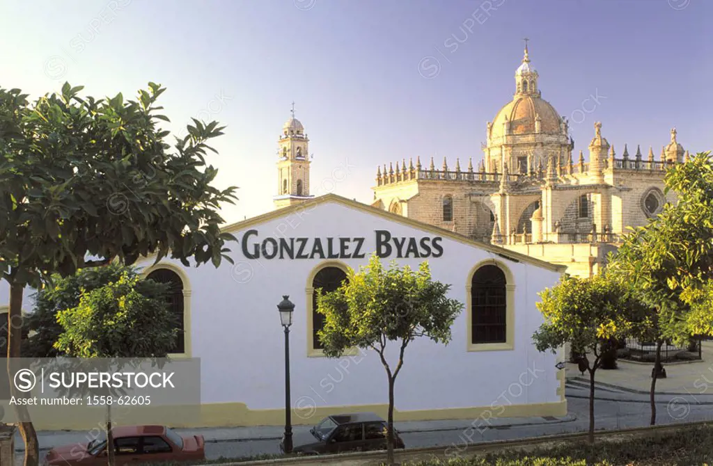 Spain, Andalusia, Costa of de la Luz,  Jerez de la Frontera, view at the city,  Cathedral, winery Gonzales Byass, Europe, Iberian peninsula, Espana, A...