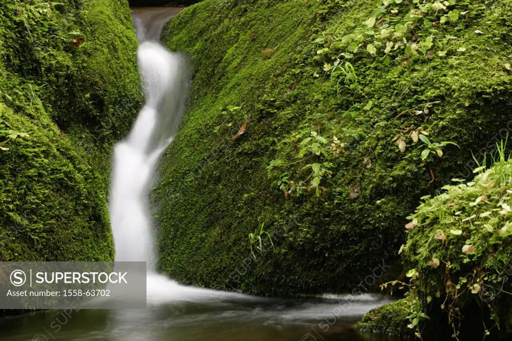 Rocks, moss, brook   Nature, moss-grows over, forest brook, forest, rock, mossy, water, habitat, ecosystem, ecology, clearly, purely, flows, fluently,...