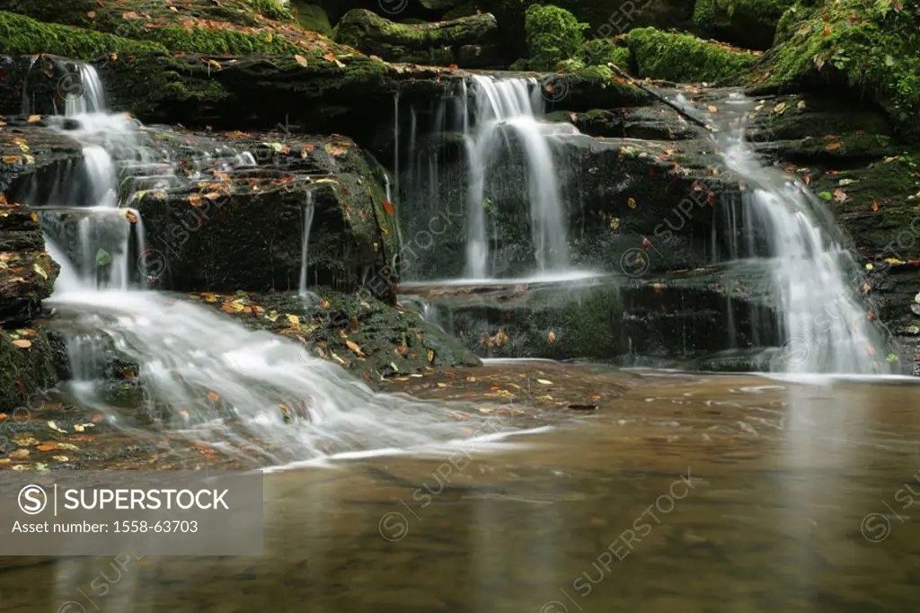 Rocks, forest brook, waterfall   Series, nature, stones, cascades, steps, natural, moss-grows over, forest, brook, rock, mossy, foliage, abandoned, wa...