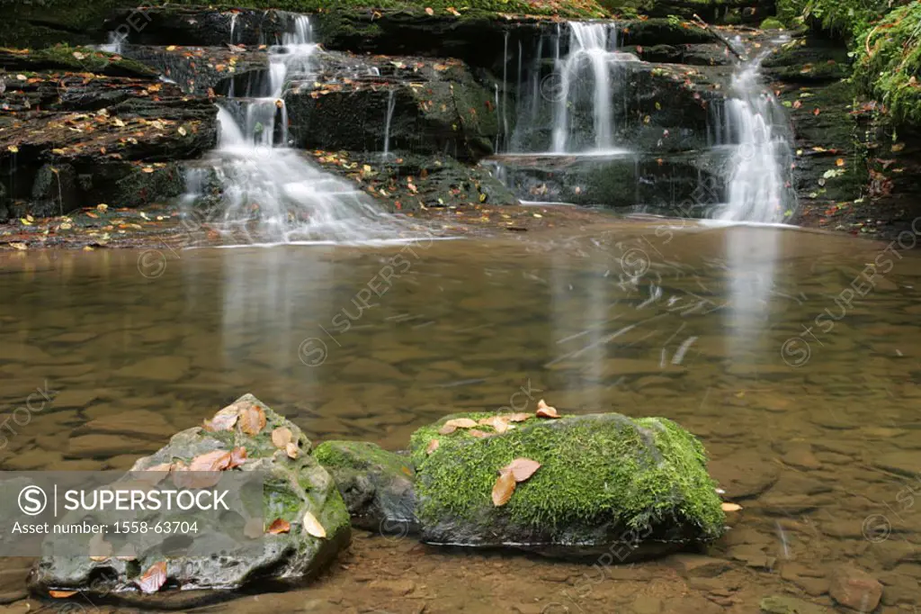 Rocks, forest brook, waterfall   Series, nature, stones, cascades, steps, natural, moss-grows over, forest, brook, rock, mossy, abandoned, foliage, wa...