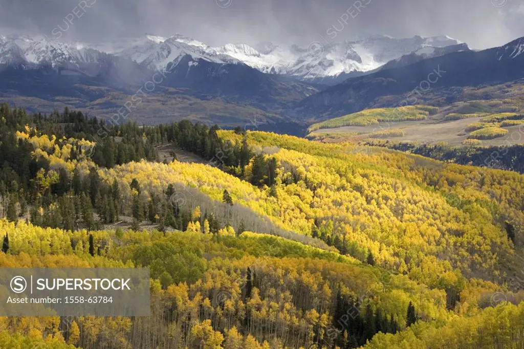 USA, Colorado, Aspen, San Juan,  Mountains, landscape, forest, autumn,  North America,  United States of America, west Colorado, mountains mountains s...
