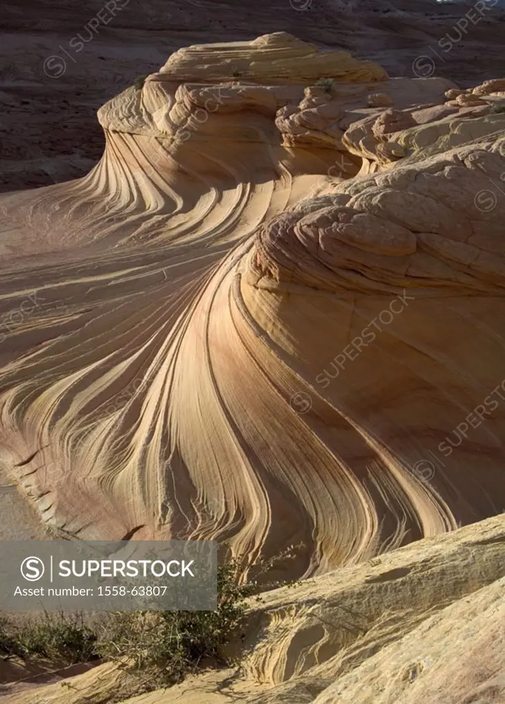 USA, Utah, Arizona, pariah Canyon,  Vermilion of Cliff of poaching It,  Rock formation, ´second wave,´ North America,  United States of America, south...