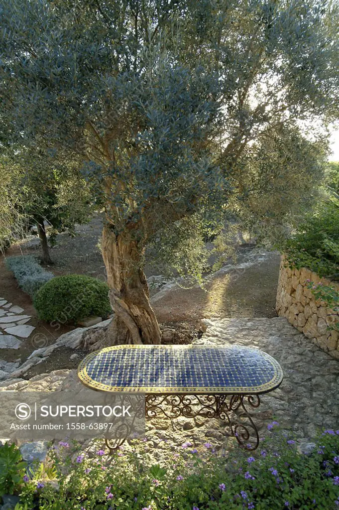 Spain, Majorca, vacation house,  Detail, garden, table, olive tree,  Shadows, summer,  , nature, domicile, residence, vacation domicile, vacation domi...