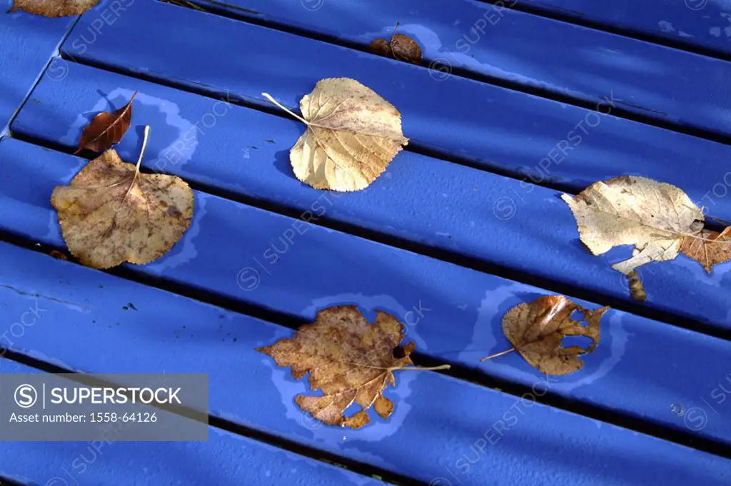 Fall foliage, leaves, Holztisch,  blue, season, contrast  Table, boards, garden table, outside, leaves foliage fall leaves, coloring, transience, idyl...