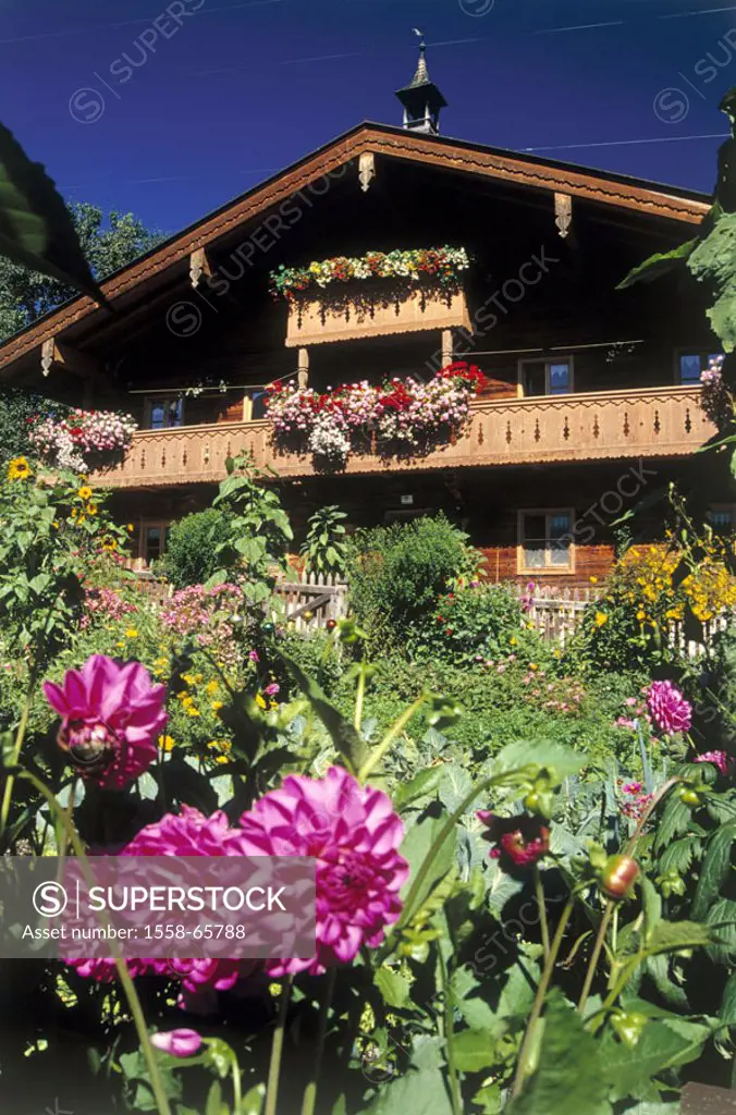 Austria, Salzburger country, stone Sea, Maria Alm, house, Bauerngarten,  Europe, farmhouse, residence, framehouse, garden, flower garden, flowers, blo...