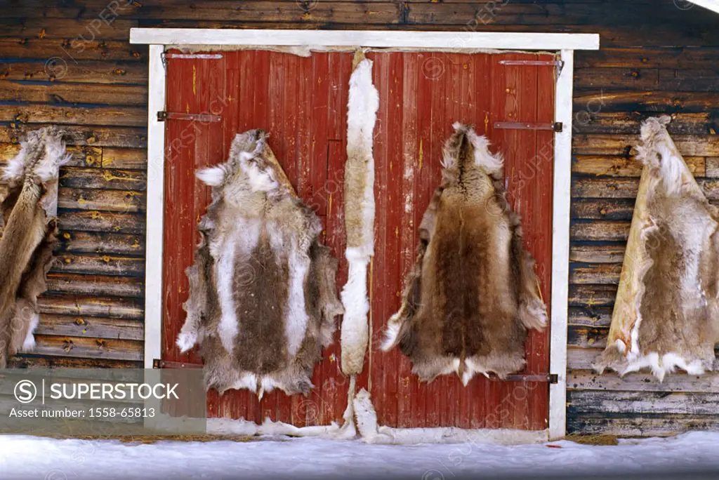 Norway, Finnmark, Kautokeino,  framehouse, reindeer furs, desiccation  Scandinavia, north, cottage, wood cottage, facade, furs, animal furs, hung up, ...
