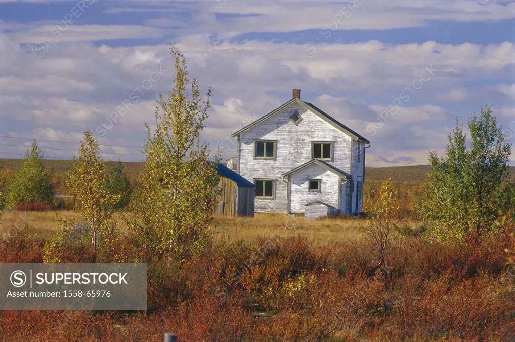 Norway, Finnmark, landscape, framehouse, abandoned, autumn  Scandinavia, North Norway, hill landscape, grasses, Trees, birches, house, residence, unin...
