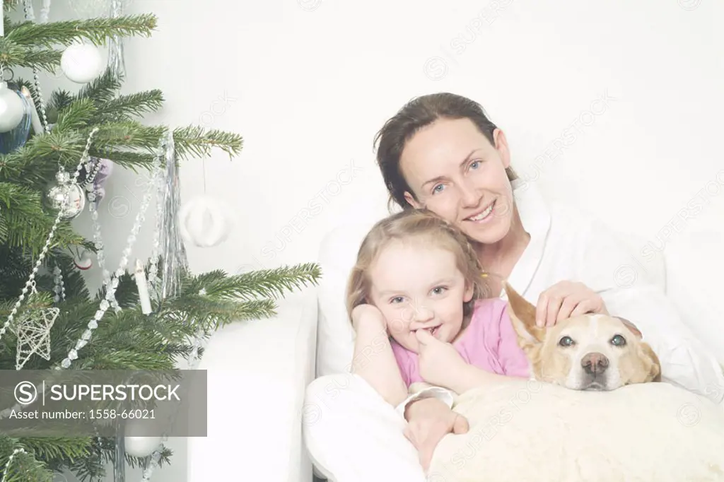 Woman, daughter, dog, gaze camera,,  Christmas tree, detail, portrait  Christmas, Christmas time, Christmas-like, Christmas Eve, sacred evening, knows...