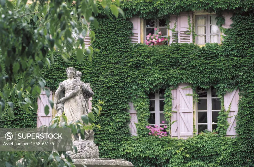 Over residence, facade, detail, grown,  Statue  House, buildings, multiple-family dwelling, house facade, overgrown, plant, climbing plant, supple pla...