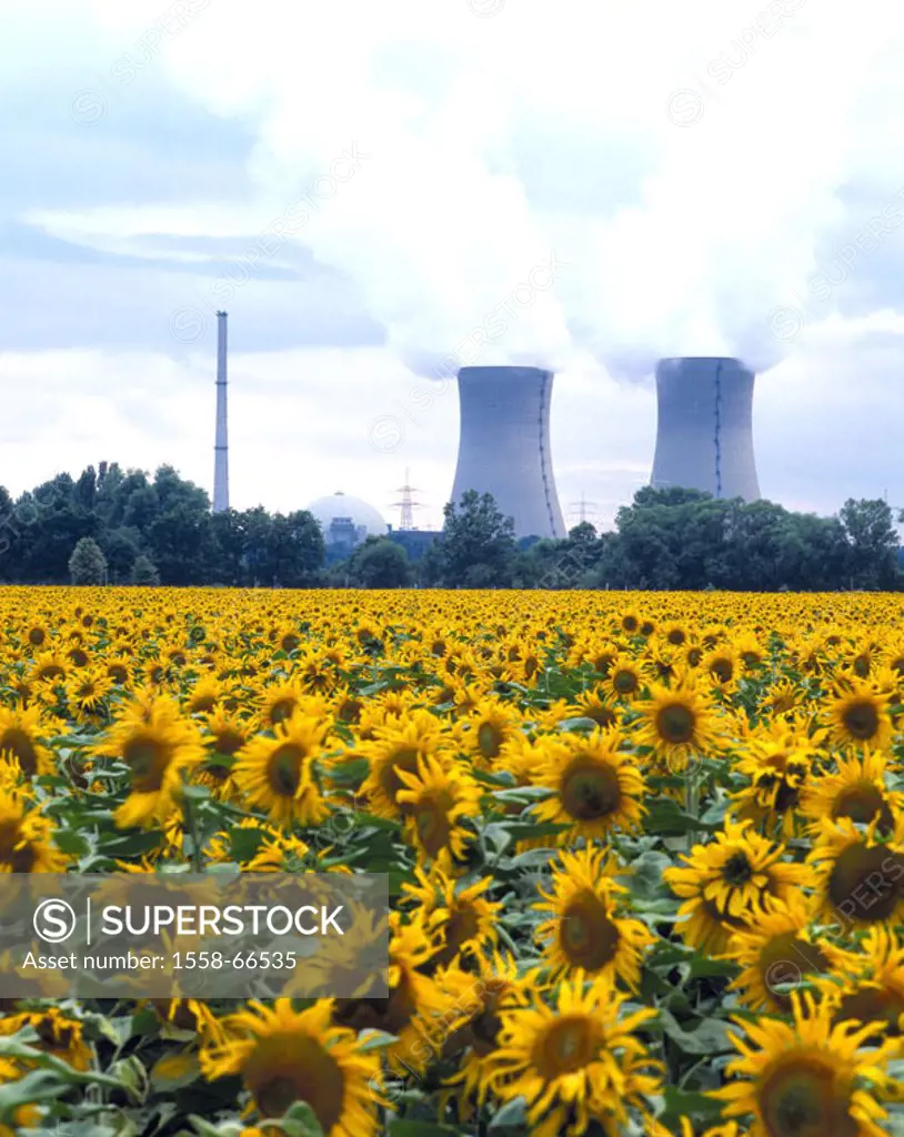 Germany, Bavaria, Lower Franconia,  Count rheic field, nuclear power plant,  Cool towers, sunflowers, Energy, energy extraction, stream, tramp generat...