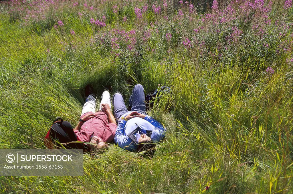 Hikers, flower meadow, lie,  relaxen, enjoying   People, couple, in the spring meadow, hiking, rest, traveling pause, pause, relaxing, relaxen, restin...