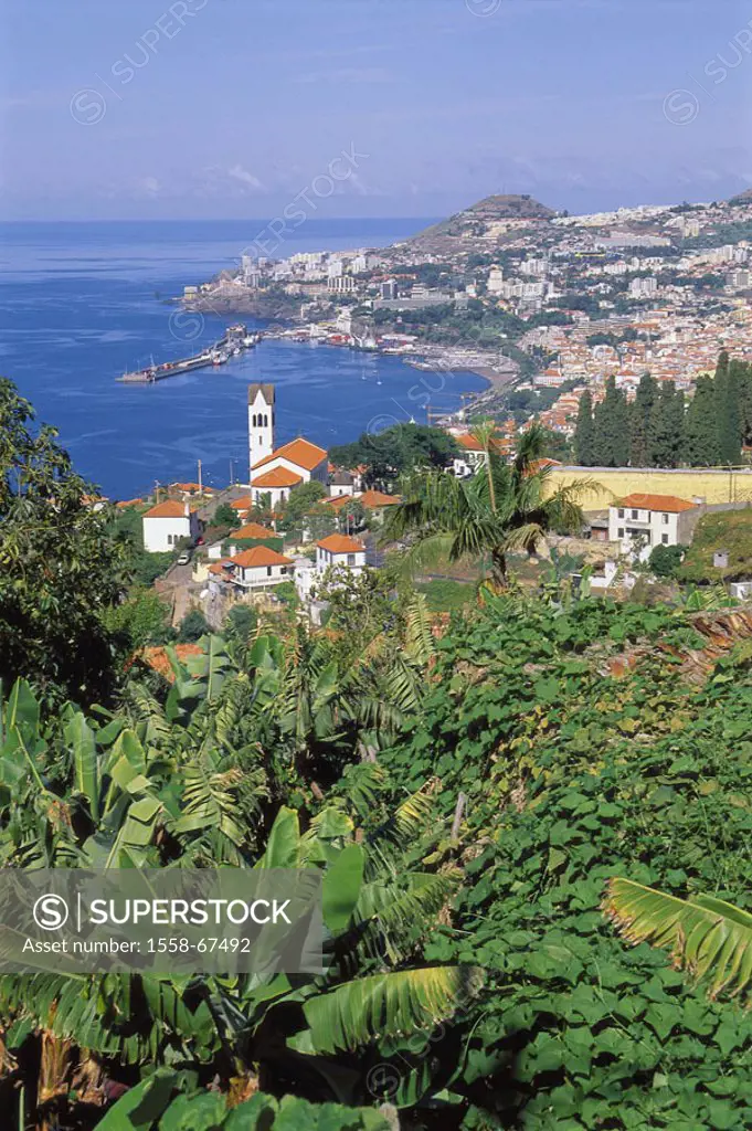 Portugal, island Madeira, Funchal,  view at the city, Küstenlandschaft,  Europe, Atlantic island, destination, city, island capital, coast city, coast...
