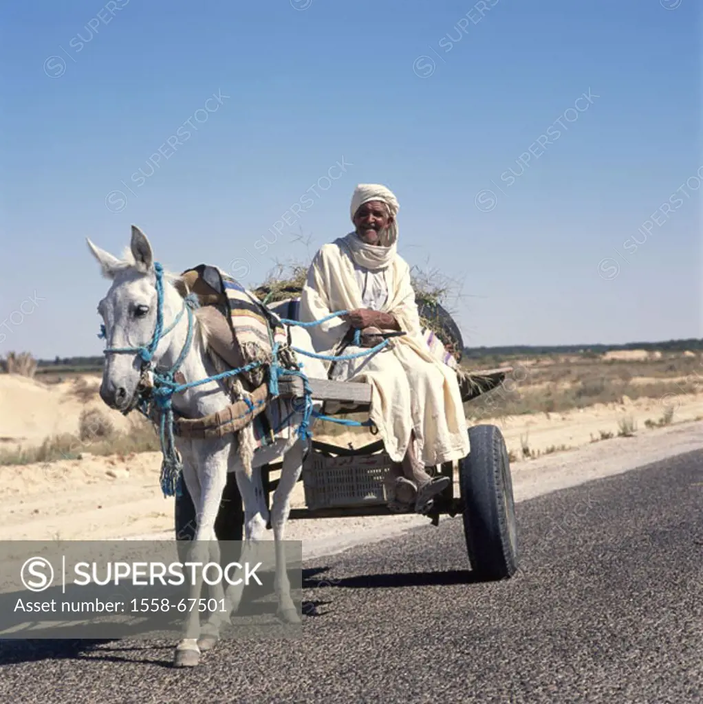 Tunisia, Douz, street, horse carts, Berbers Africa, South Tunisia, ´Zaafrane´, man, native, Senior, horse vehicle, locomotion, tradition, Transportati...