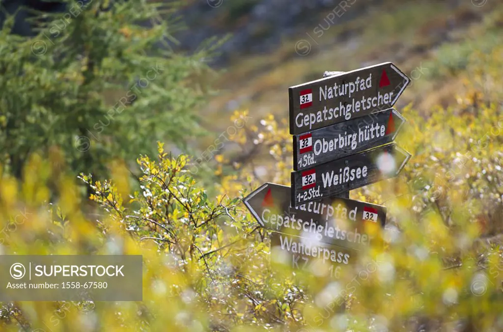 Hiking, signposts, meadow   Austria, Ötztaler Alps, nature, wood, sign, hint, way description, trendsetting, footpaths, time information, guidance, be...