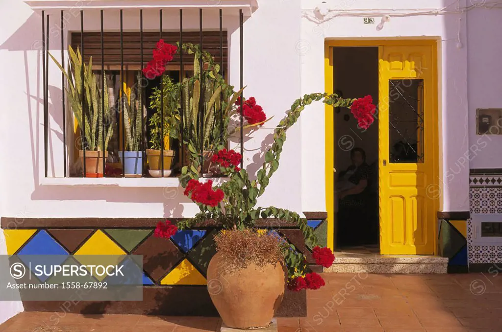 Spain, Costa Del sol Torrox,  Pueblo-Haus, detail, windows, door,  Flower jewelry Andalusia, Pueblo-Haus, residence, front door yellow, wall, white, p...