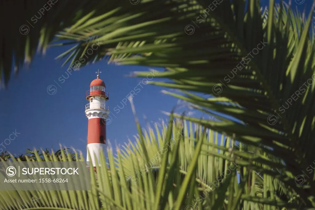 Namibia, Swakopmund, lighthouse, Palms, detail,  Africa, southwest Africa, coast, tower, red, white, signal, shipping, navigation, help, guidance, bea...