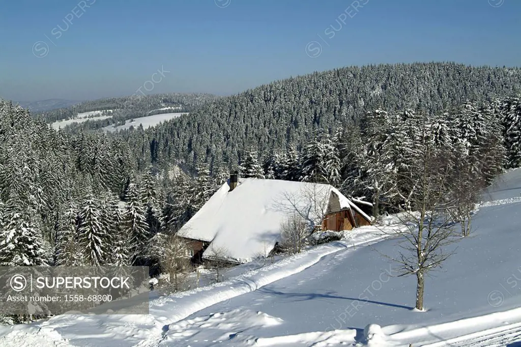 Germany, Baden-Württemberg,  Black forest, house, detail, roof,  Winter landscape Europe, high Black forest, near Swiss yard, landscape, Black forest ...