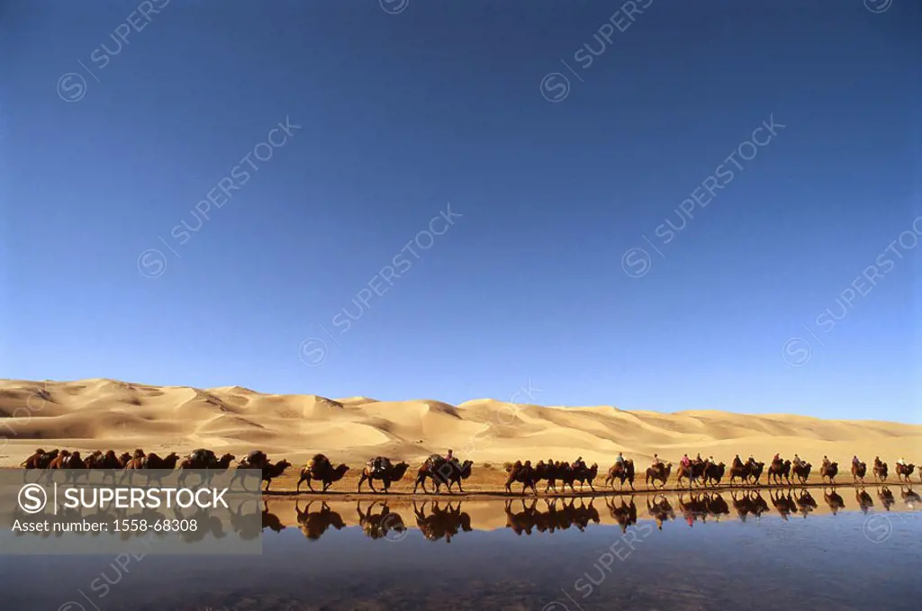 Central Asia, desert Gobi, caravan,  Oasis, water, reflection  Mongolia, Asia, sea, water, waters, reflection, water reflection, sand, dunes, travelin...