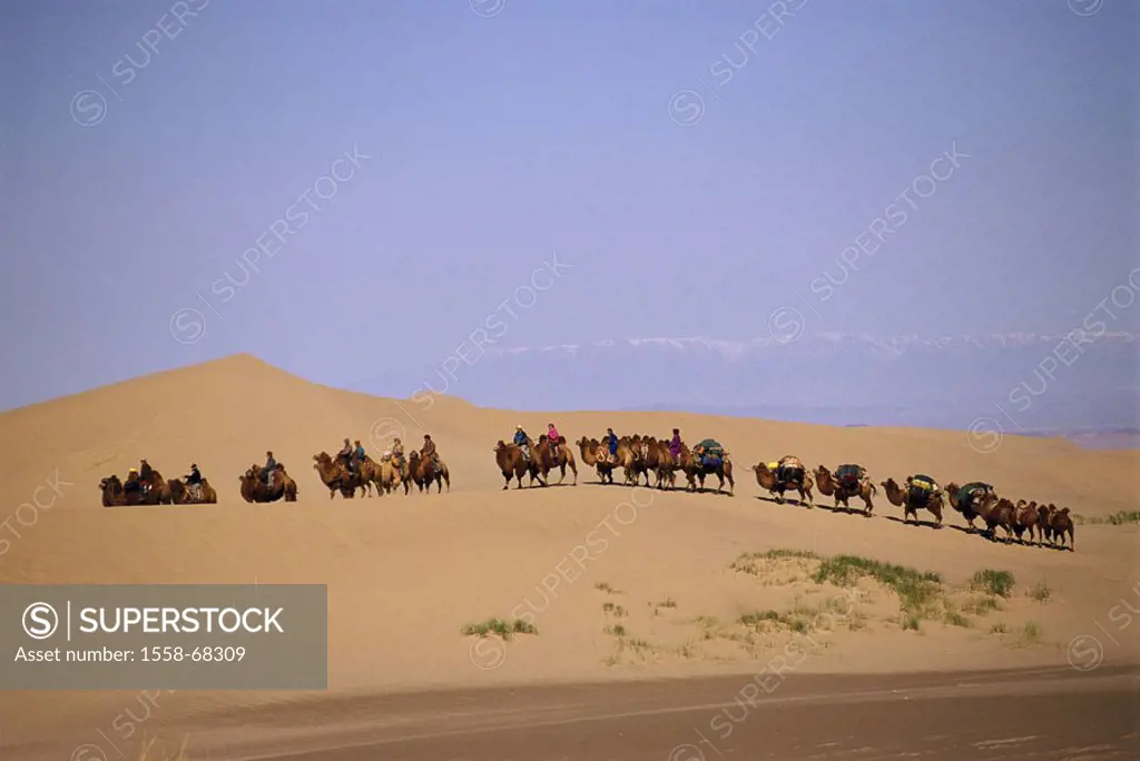 Central Asia, desert Gobi, caravan   Mongolia, Asia, sand, dunes, traveling dunes, camel herd, camel train, camels, people, Mongolians, camel nomads, ...