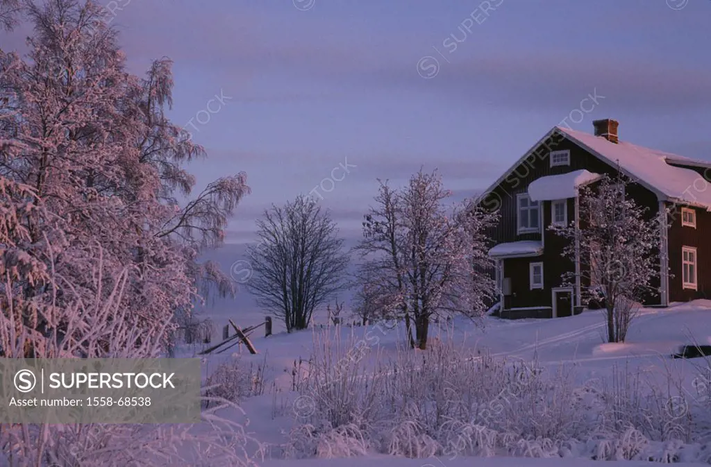 Sweden, winter landscape, house,  Trees  Europe, Northern Europe, Scandinavia, Dalarna, Björkberg, snow, snow-covered, landscape, winters, dawns, dayb...