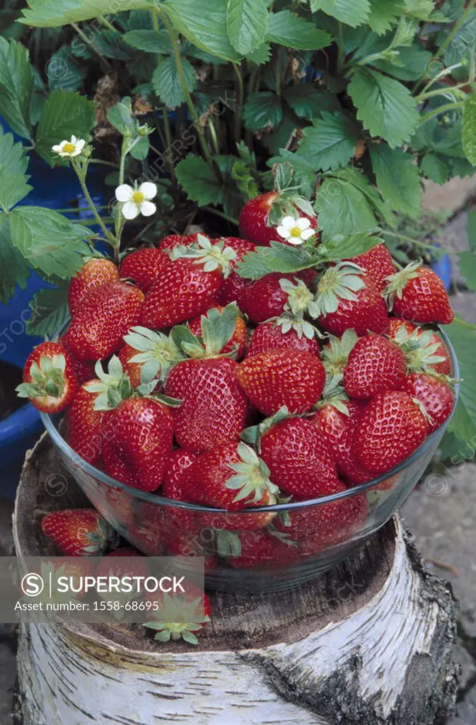 Terrace, stub, peel, Strawberries  Glass tray, dessert, dessert, strawberry peel, fruits, Sammelnussfrüchte, nutrition healthy, rich in vitamins, food...
