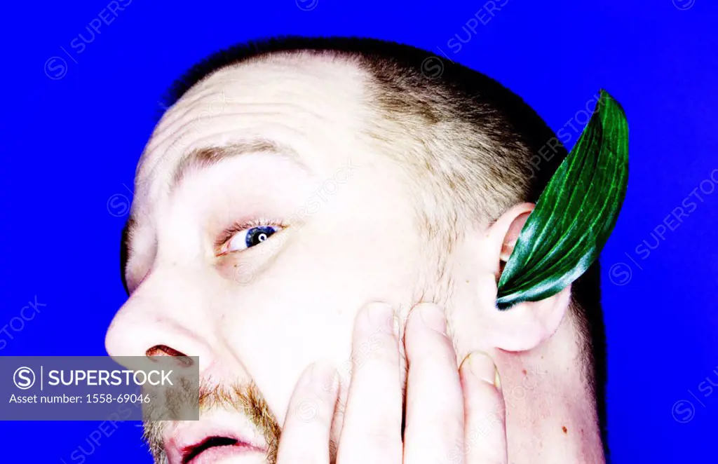 Man, beard, ear, startled leaf   truncated, 20-30 years, bald head, expression, anxiously, nauseated, seriously, concept, plant, hearing, puts grows, ...