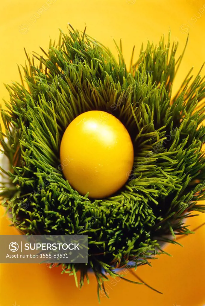 Easter, vessel, grass, Easter egg, yellow, from above  Easter, Eastertime, grass stalks, egg, toned, colored, Easter traditions, traditions, tradition...