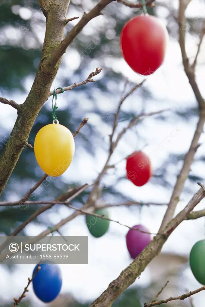 Easter, garden, shrub, detail, Branches, Easter eggs, colorfully, artificial  Easter, Eastertime, tree, plastic eggs, eggs, colored, pussy, traditions...