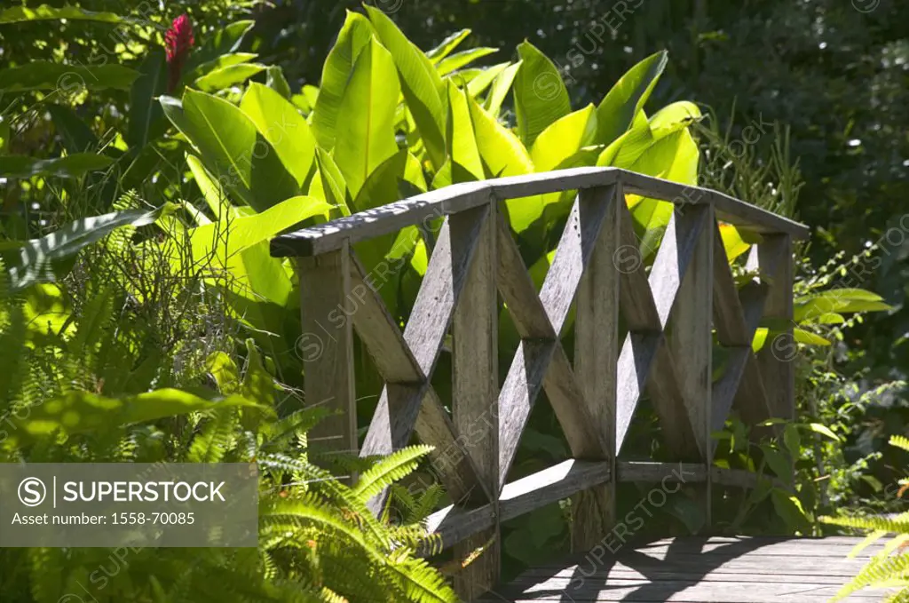 Barbados, botanical garden, wood bridge, plants, tropical
