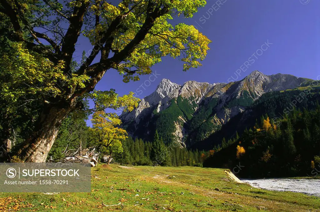 Austria, Tyrol, Karwendel, baby, Maple ground, gaze, Risser Falk, autumn,  highland, mountains, Tyroleans Alps, nature, human-empty, silence, silence,...