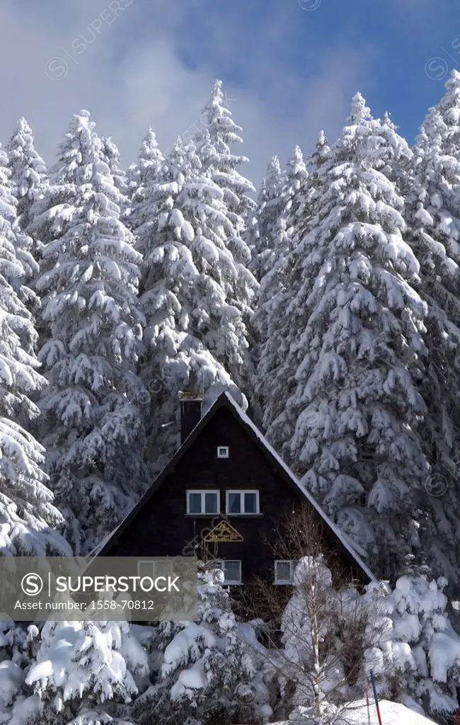 Germany, Baden-Württemberg,  Field mountain, forest edge, framehouse,  Snow Europe, Breisgau-Hochschwarzwald, Black forest, snow-covered, residence, h...
