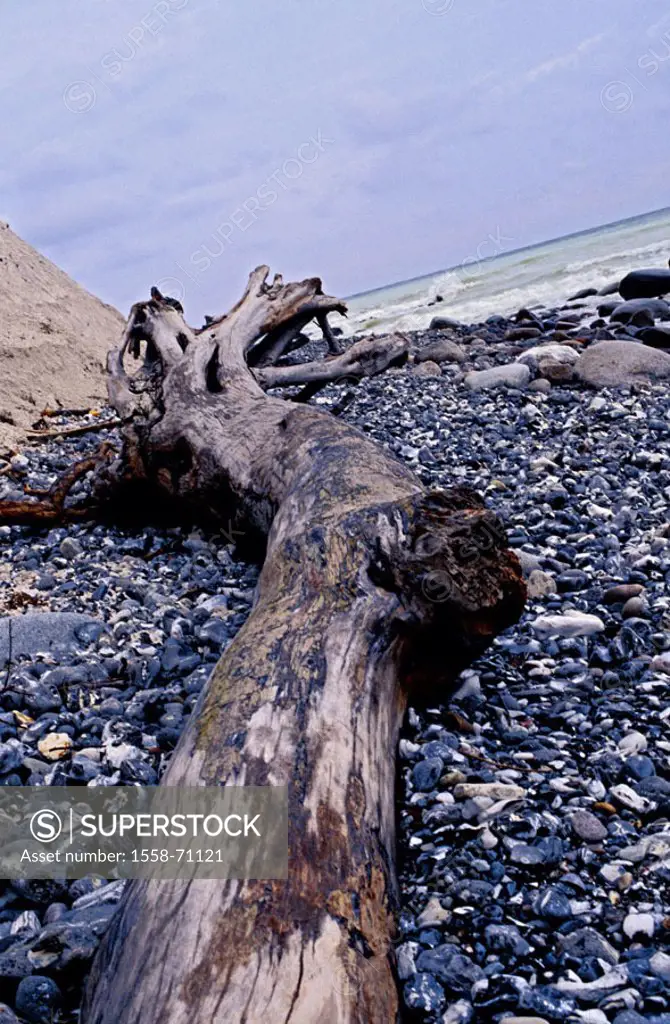Gravel beach, jetsam, log, Detail  Sea, surf, waves, stormily, beach pebbles shingle, stones, driftwood, wood, Jetsam, warehed ashore, warehed up, wea...