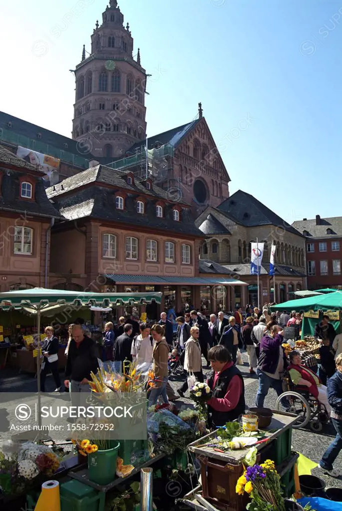 Germany, Rhineland-Palatinate, Mainz,  old town, cathedral St. Martin and St. Stephan,  Market place, market stand, visitors Europe, city center, cent...