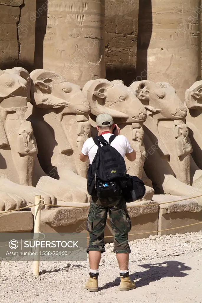 Egypt, Luxor, Karnak, Amun-Tempel,  Widdersphingen, tourist, photograph,  view from behind Africa, head Egypt, sight, destination, temple installation...
