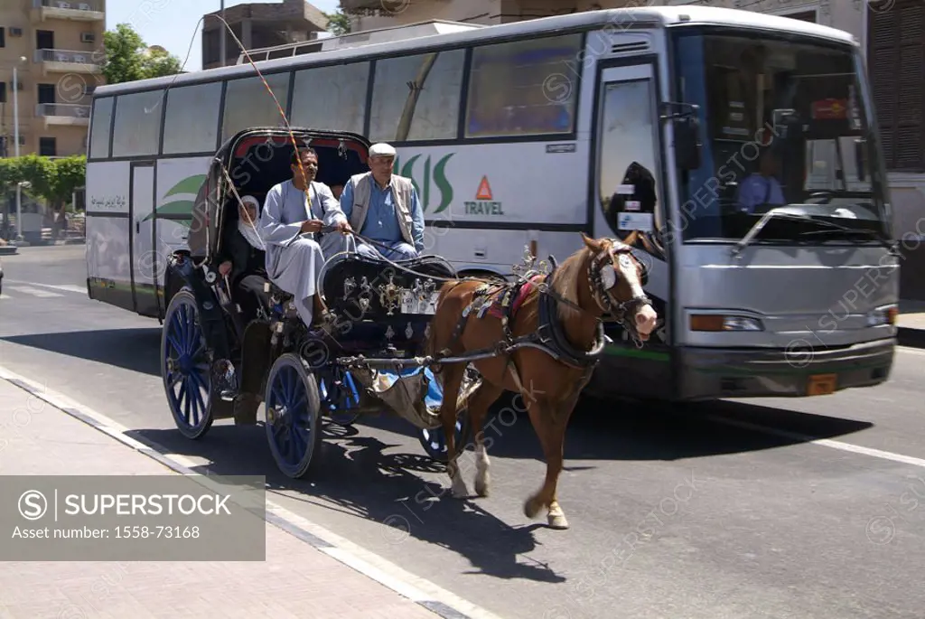 Egypt, Luxor, horse carriage, coach,  Africa, head Egypt, city, destination, street, asphalt street, bus, bus, means of transportation, publicly, carr...