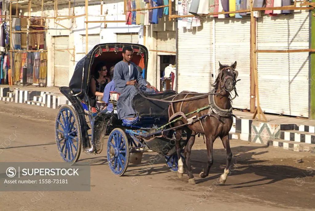 Egypt, Edfu, horse carriage, Tourists Africa, head Egypt, city, street, promenade, taxi carriage, carriage, horse, cab, man, coachmen, Egyptians, tran...