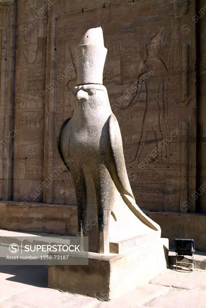Egypt, Edfu, Horus-Tempel, statue,  Temple guard Horus  Series, Africa, head Egypt, sight, Horus temples, well-gotten temple installation, Bauzeit Pto...