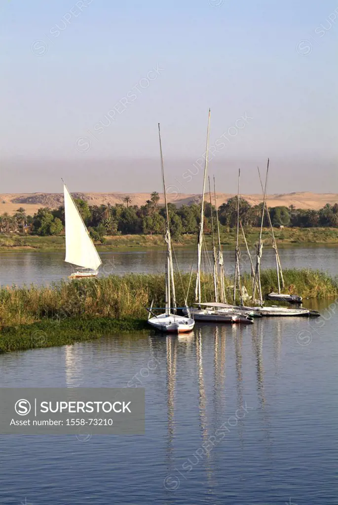 Egypt, Assuan, river Nile,  Landing place, sail ships,  Africa, head Egypt, destination, destination, west shores, Nilufer, reed, grasses, landscape, ...