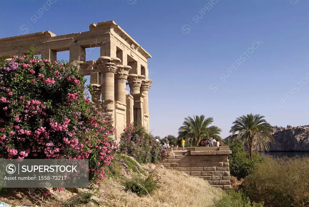 Egypt, Assuan, island Agilkia, temples,  from Philae, kiosk of the Trajan,  Africa, head Egypt, destination, destination, sight, culture, Nile island,...
