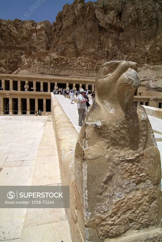 Egypt, Luxor, Theben-West,  Terrace temples of the Hatshepsut,  Visitors, Falkenstatue, Africa, head Egypt, valley of the queens, destination, destina...