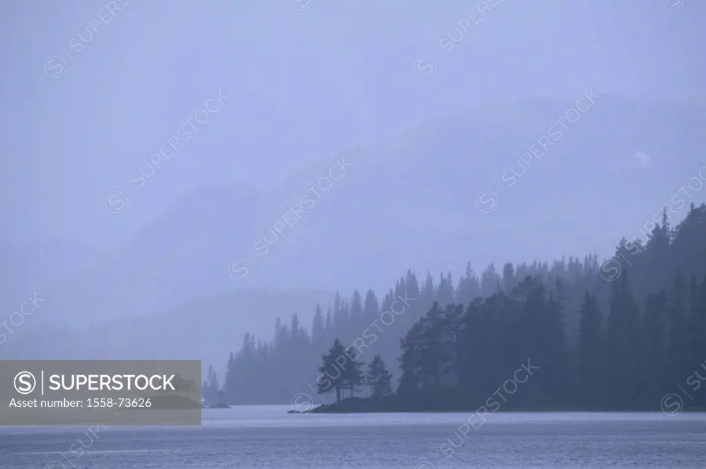 Norway, telemark, Vinje, sea, forest,  Fogs  Europe, Scandinavia, South Norway, nature, landscape, shores, forest area, trees, vegetation, concept, fo...
