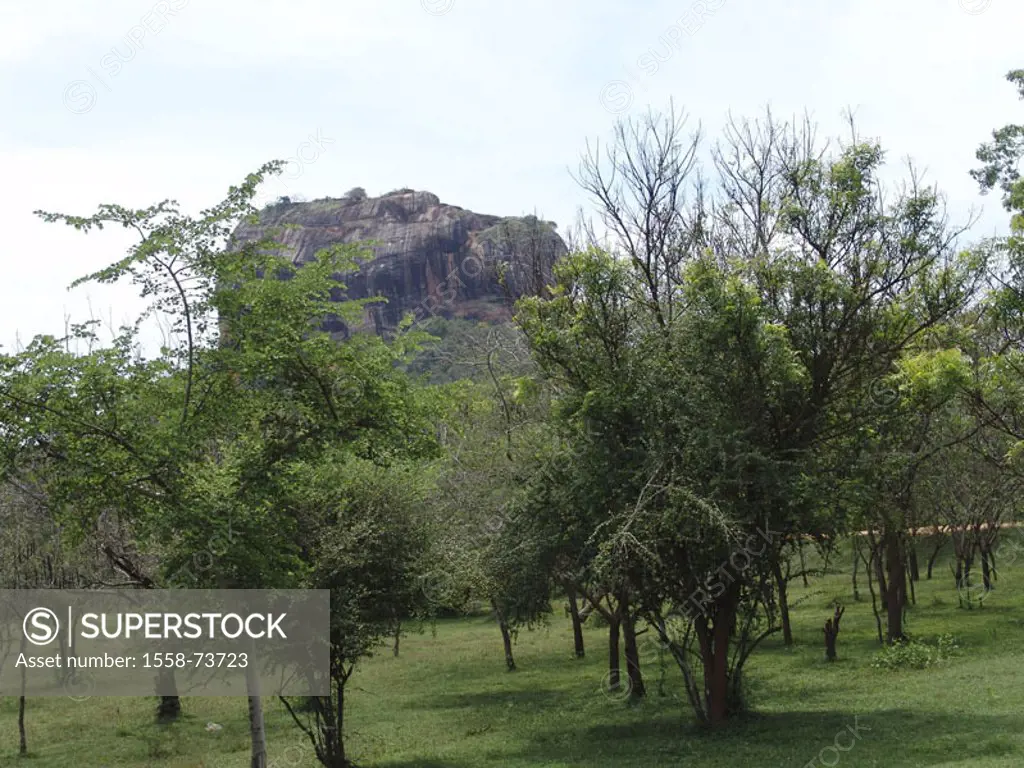 Sri Lanka, Sigiriya, lion rocks,  Palace of the God, grounds,  Asia, nature, trees, mountain, island mountain, rocks, rock temples, high culture, UNES...
