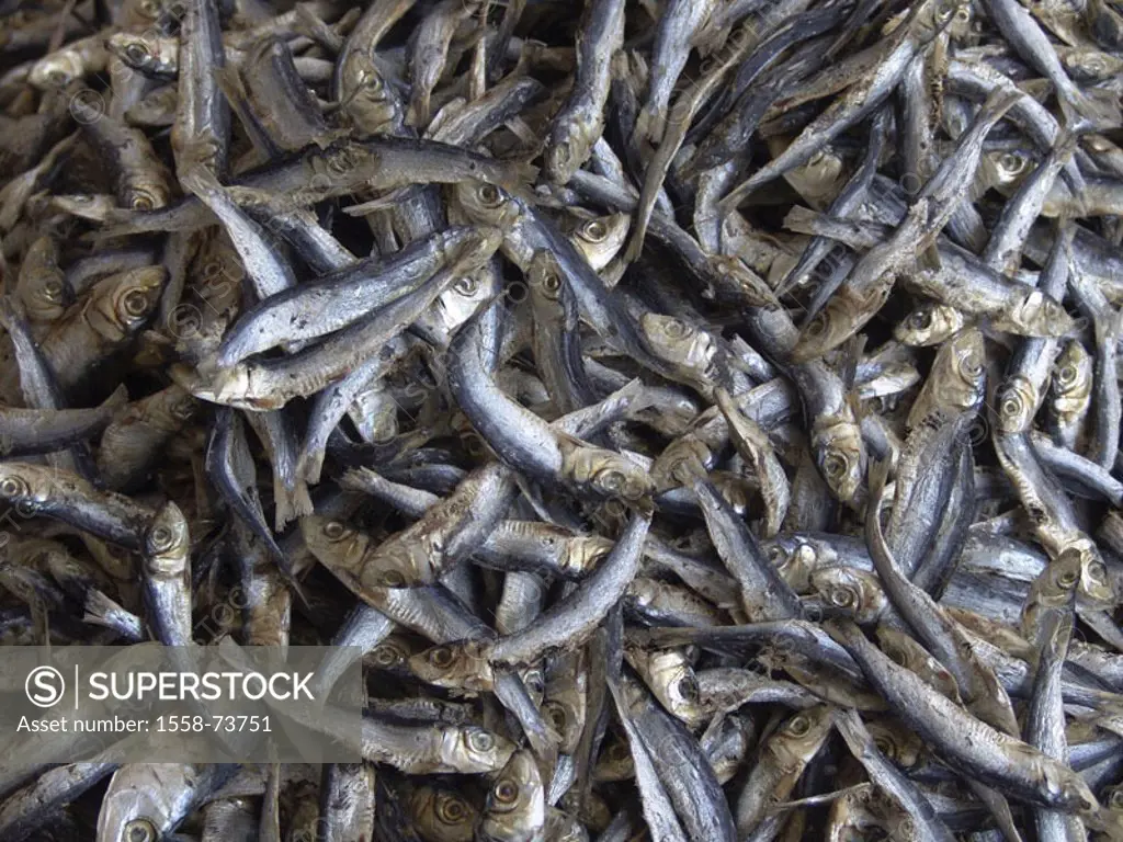 Fish, dried   Quietly life, food, food, fish, dry fish, market, sale, ware, many, specialty, traditionally, food offer durability, preservation, Sri L...