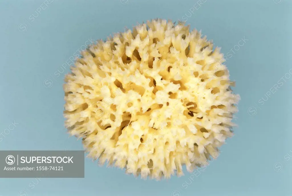 Nature sponge   Cosmetics, cosmetics articles, sponge, bath sponge, hygiene articles, hygiene, tidiness, personal hygiene, body hygiene, cleanliness, ...