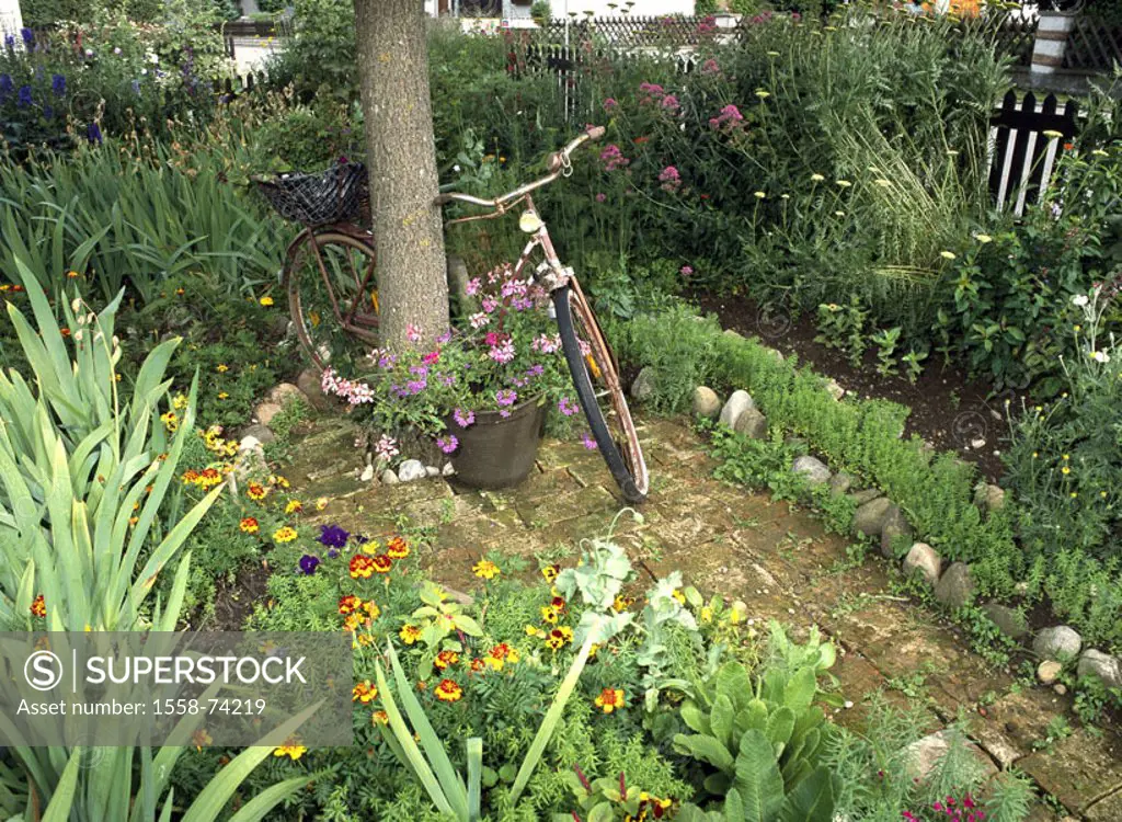 Garden, flowers, log,  Decoration, bicycle, old,  Quietly life Tree, wheel, rusty, warete, bicycle basket, plants, flower beds, flowerpot, summer flow...