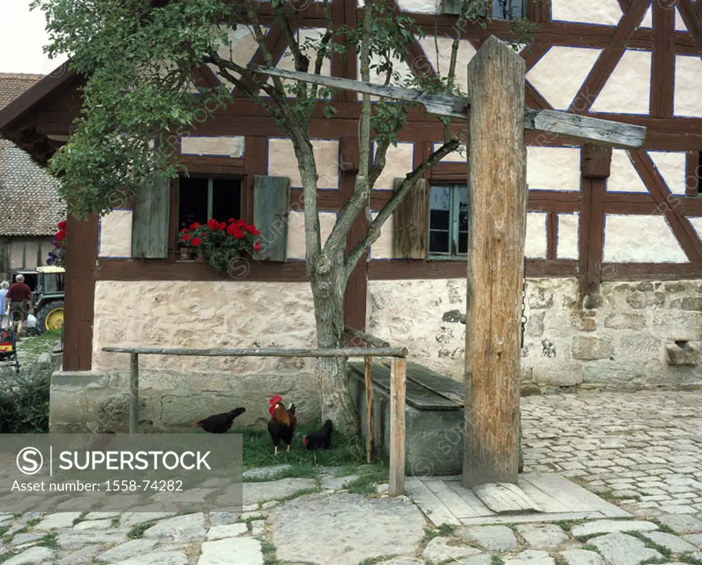Farm, timbering, detail, facade,  Windows, chickens,  Residence, farmhouse, yard, timbered house, old, house facade, traditionally, garden wells tree,...