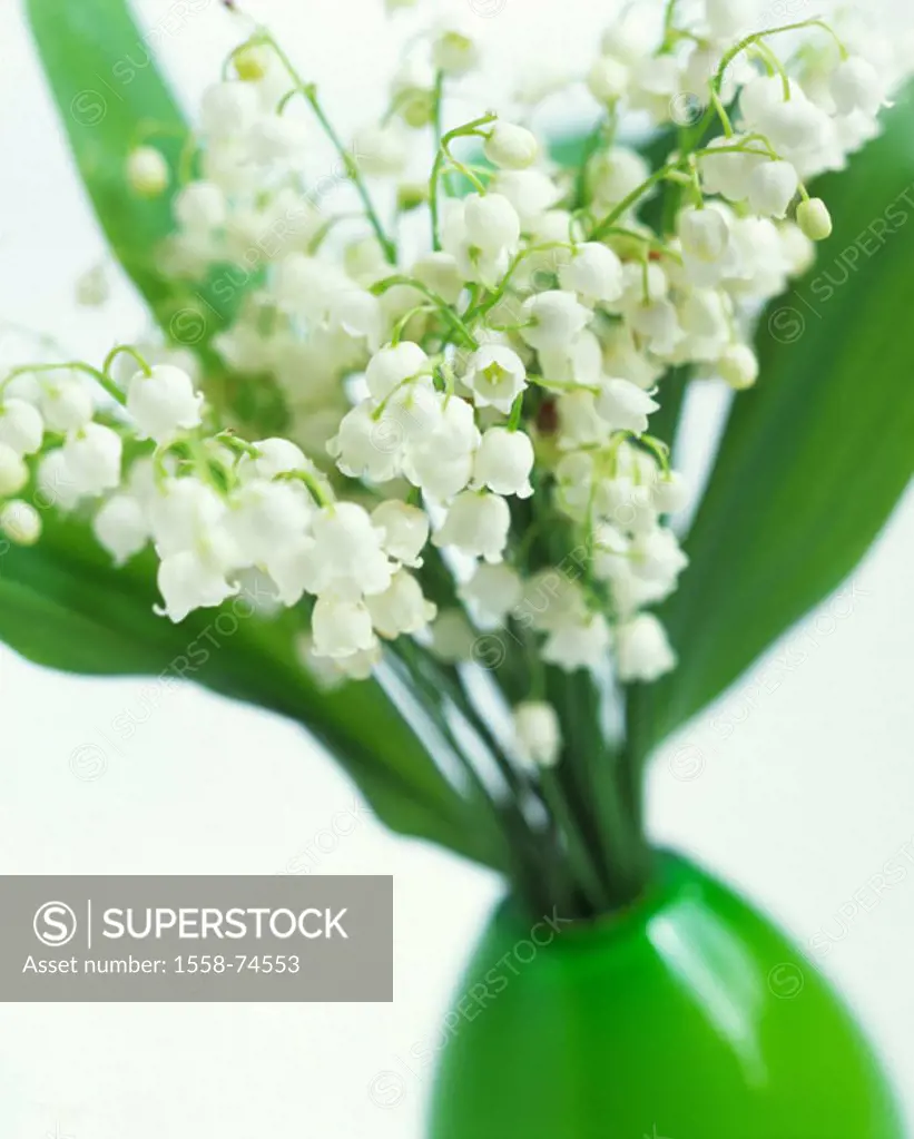 Flower vase, lily,  Convallaria majalis  Vase, flower bouquet, flowers, lily plants,  Lilie of the valley, prime, ornamental plants, in the spring flo...