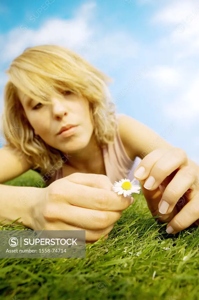 lie woman, young, summer, meadow,  Daisies, petals, pluck,  ´he/it loves me, he/it doesn´t love me  Series, 20-30 years, blond, outside, leisure time,...